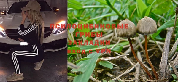 spice Зеленодольск