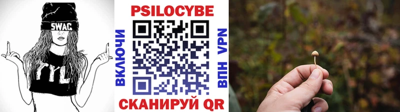 Галлюциногенные грибы мухоморы Терек