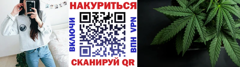 Купить  Терек  Каннабис семена 